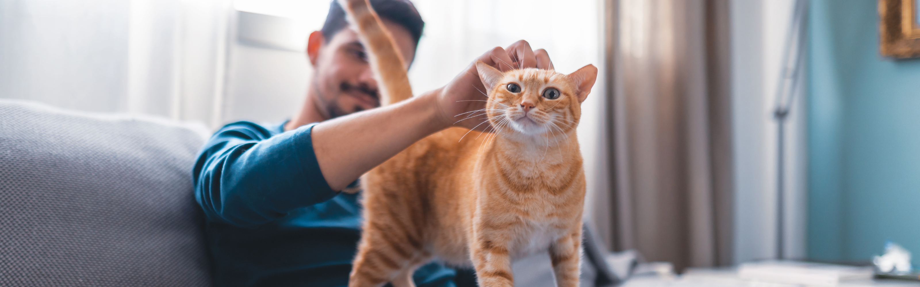 Looking after your cat for their best life