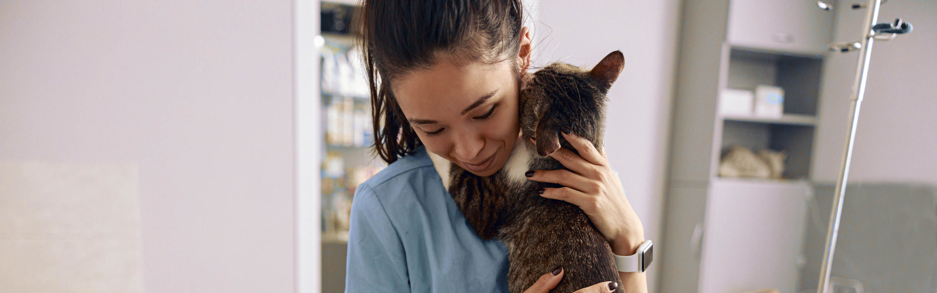 Better veterinary visits for cats