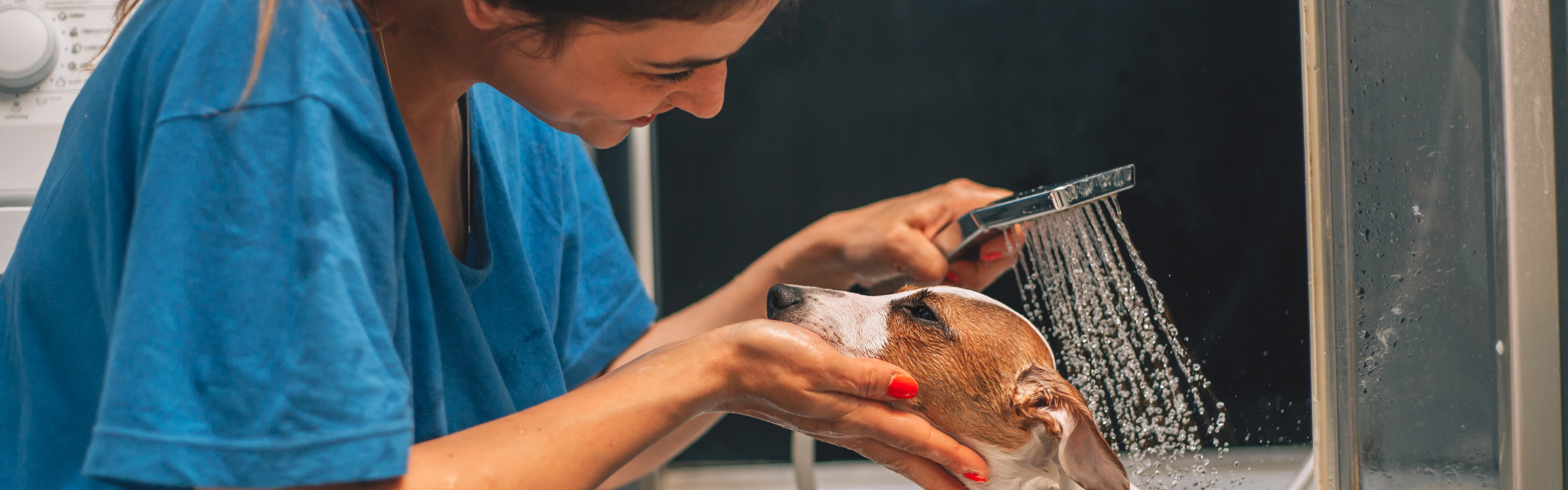Skin care for fur friends