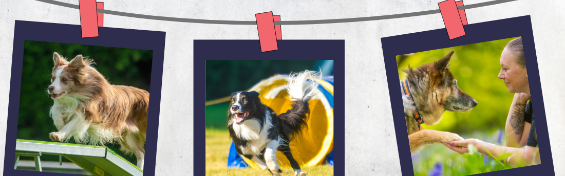 Agility with OutwestK9s
