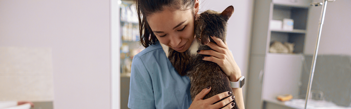 health-checks-preventative-screening – Petfirst Veterinary
