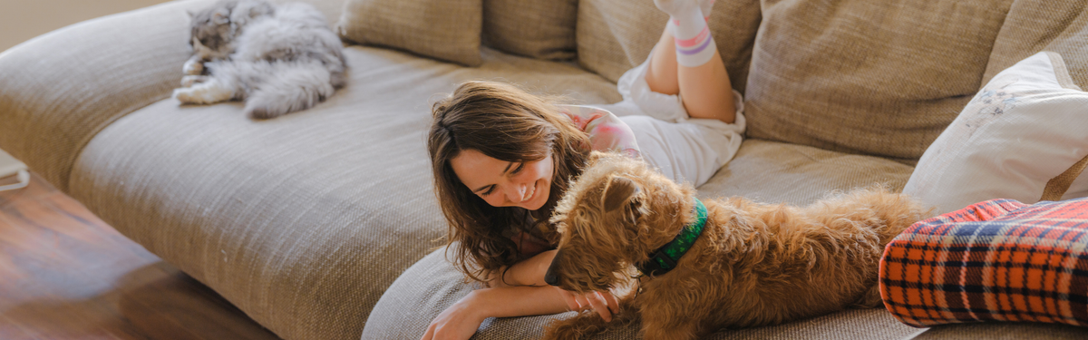 Petfirst-Wellness-new – Petfirst Veterinary