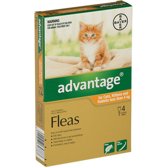 Advantage for Kitten/Small Cats (Under 4kg)