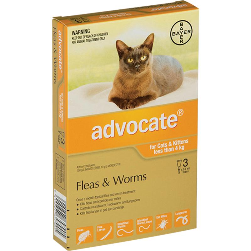 Advocate for Kitten/Small Cats (Under 4kg)