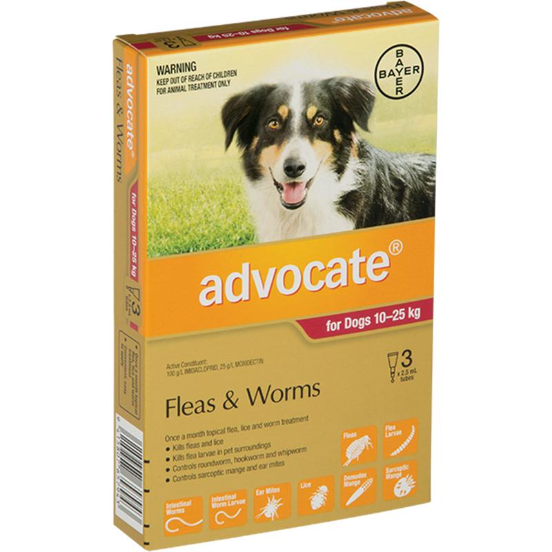 Advocate for Large Dogs (10-25kg)