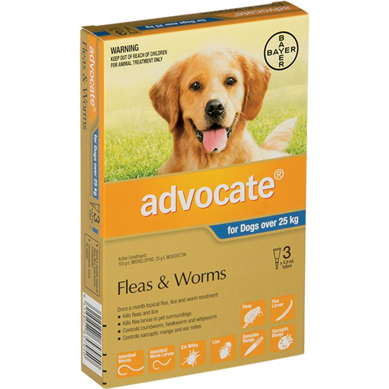 Advocate for Extra Large Dogs (25-60kg)