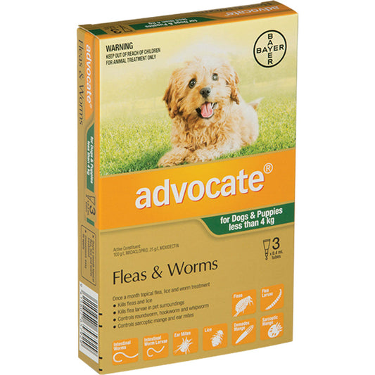 Advocate for Puppy/Small Dogs (Under 4kg)