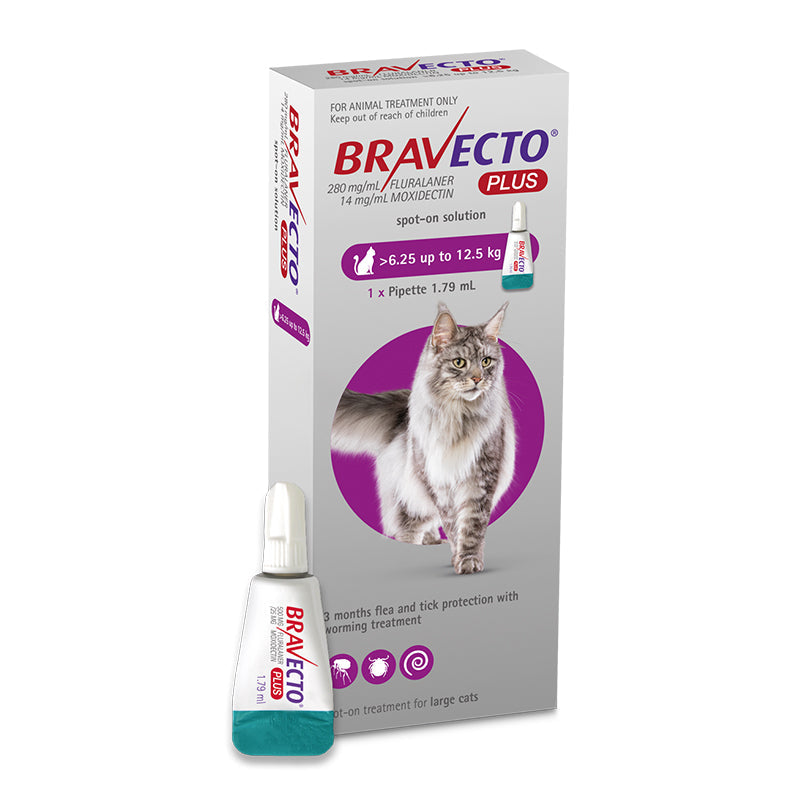 Bravecto Plus Spot-On for Large Cats (6.25-12kg)