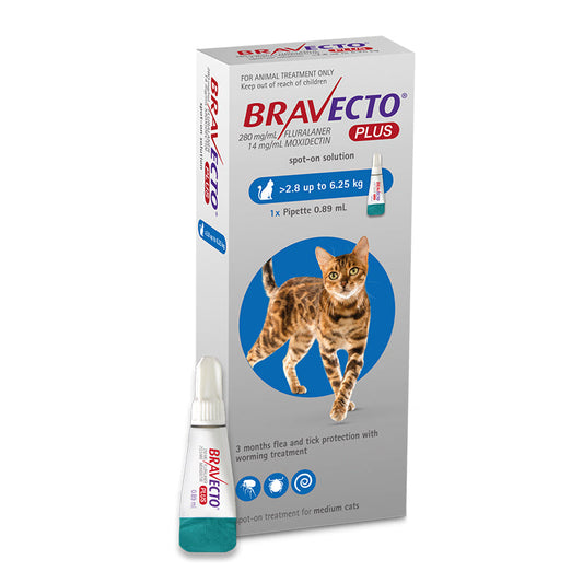 Bravecto Plus Spot-On for Medium Cats (2.8-6.25kg)