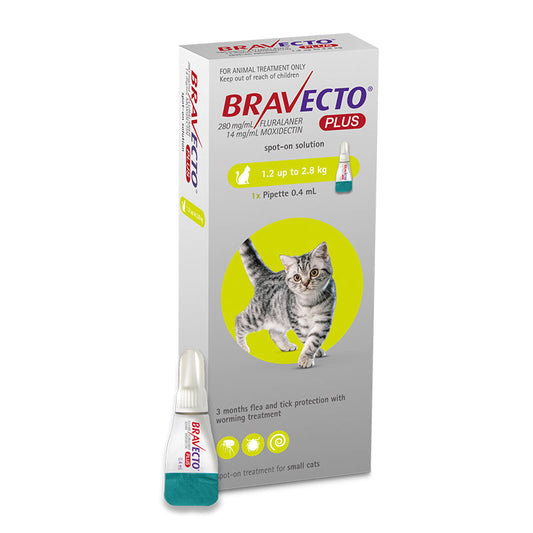 Bravecto Plus Spot-On for Small Cats (1.2-2.8kg)