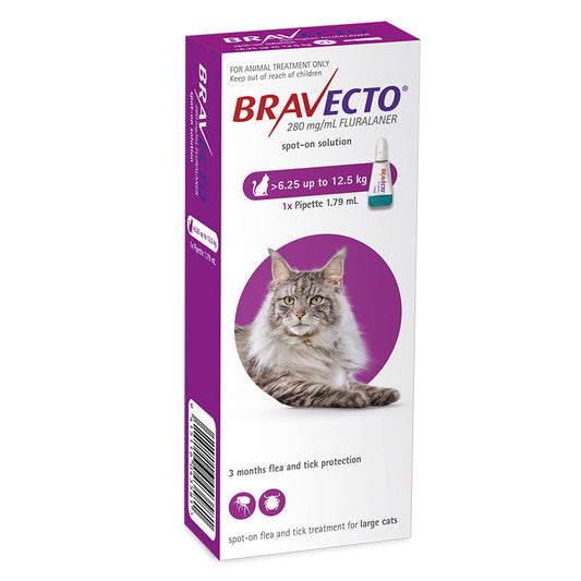 Bravecto Spot-On for Large Cats (6.25-12kg)