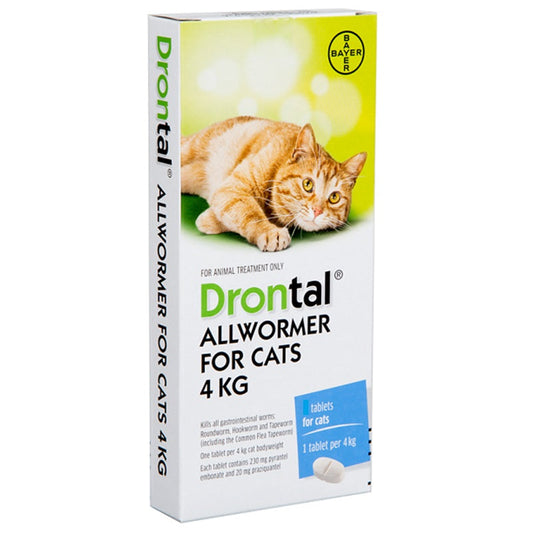 Drontal Allwormer for Cats (4kg per tablet) - Sold Individually