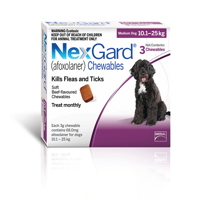 Nexgard Chew for Medium Dogs (10-25kg)